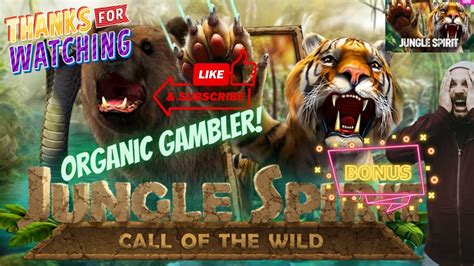 jungle spirit casino